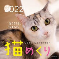 #中央経済グルー #カレンダー’２２猫めくり