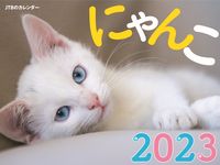 画像をギャラリービューアに読み込む, #ＪＴＢパブリッ #カレンダー’２３にゃんこ
