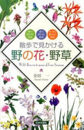 #金田一 #散歩で見かける野の花・野草