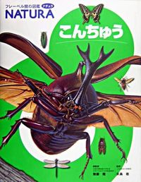 ＃無藤　隆　総監修 ＃こんちゅう ﾑﾄｳﾀｶｼ :9784577028377