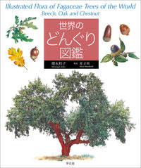 #KeikoTokunaga #WorldAcornEncyclopedia