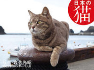 #岩合光昭写真 #カレンダー’２２日本の猫