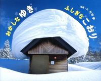 画像をギャラリービューアに読み込む, ＃片平　孝　写真・文 ＃おかしなゆき　ふしぎなこおり ｶﾀﾋﾗﾀｶｼ :9784591131244
