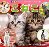 Load image into Gallery viewer, ＃小川　晃代　写真 ＃こねこ ｵｶﾞﾜｱｷﾖ | Ogawa Akiyo Kitten :9784591141731
