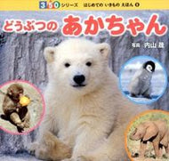 #内山晟写真 #どうぶつのあかちゃん