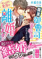 #水城のあ #腹黒御曹司の蜜愛妻になりましたが、やっぱ