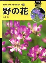 画像をギャラリービューアに読み込む, ＃木原　浩　著 ＃野の花 ｷﾊﾗﾋﾛｼ :9784635062619
