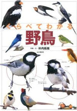 画像をギャラリービューアに読み込む, ＃叶内　拓哉　写真・文 ＃くらべてわかる野鳥 ｶﾉｳﾁﾀｸﾔ :9784635063470
