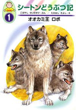 画像をギャラリービューアに読み込む, #こばやしせいのすけ #オオカミ王ロボ
