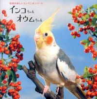 画像をギャラリービューアに読み込む, ＃インコちゃんオウムちゃん :9784756244789
