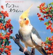 #パイインターナ #インコちゃんオウムちゃん
