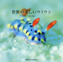 画像をギャラリービューアに読み込む, パイインターナ / 世界の美しいウミウシ～Ｓｅａｓｌｕｇｓ
