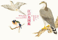 #パイインターナ #美し、をかし、和名由来の江戸鳥図鑑