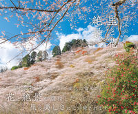 Load image into Gallery viewer, #富田文雄写真 #日本の美しい里と花の絶景

