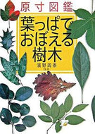 ＃濱野 周泰 ＃原寸図鑑　葉っぱでおぼえる樹木 : ハマノチカヤス : Full size picture book: Learn about trees with their leaves : Hamano Chikasu : 9784760127801