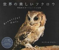 ＃Ｍ．テイラー ＃世界の美しいフクロウ　神秘的なポートレー : テイラ-マリアンヌM : Beautiful owls from around the world, mysterious portraits : Tyra Marian M : 9784766126341