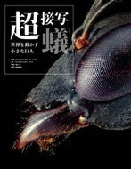 #Ｅ．Ｆ．ナイガ写真 #超接写蟻
