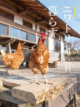 画像をギャラリービューアに読み込む, 今井和夫監修 / ニワトリと暮らす増補改訂版
