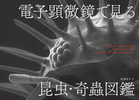 Load image into Gallery viewer, #KoheiWatanabe #InsectAndArachnidEncyclopediaThroughAnElectronMicroscope
