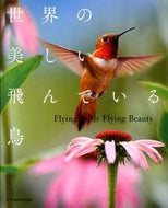 #X-Knowledge #BeautifulFlyingBirdsOfTheWorld