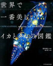 画像をギャラリービューアに読み込む, ＃窪寺　恒己　監修 ＃世界で一番美しいイカとタコの図鑑 ｸﾎﾞﾃﾞﾗﾂﾈﾐ :9784767818047
