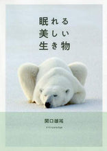 画像をギャラリービューアに読み込む, 関口雄祐 / 眠れる美しい生き物
