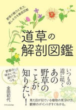画像をギャラリービューアに読み込む, ＃金田 初代 ＃道草の解剖図鑑 ｶﾈﾀﾞﾊﾂﾖ :9784767828671
