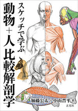 画像をギャラリービューアに読み込む, #加藤公太 #スケッチで学ぶ動物＋人比較解剖学

