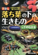 画像をギャラリービューアに読み込む, ＃ミミズくらぶ ＃ずかん　落ち葉の下の生きものとそのなかま ﾐﾐｽﾞｸﾗﾌﾞ :9784774156910
