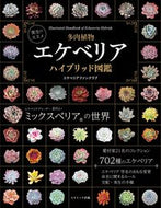 #エケベリアファンクラ #多肉植物エケベリアハイブリッド図鑑