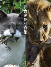 画像をギャラリービューアに読み込む, ＃捕食動物写真集 :9784775314494
