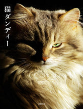 Load image into Gallery viewer, ＃猫ダンディー :9784775314685
