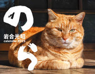 #岩合光昭写真 #’２３猫カレンダーのら