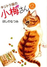 画像をギャラリービューアに読み込む, #ほしのなつみ #キジトラ猫の小梅さん１２
