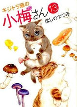 画像をギャラリービューアに読み込む, #ほしのなつみ #キジトラ猫の小梅さん１３
