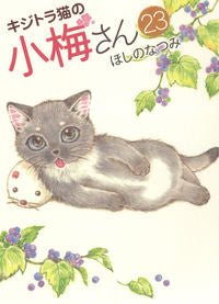 #HoshinoNatsumi #KijitoraNekoNoKoumesan23