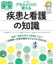 画像をギャラリービューアに読み込む, ＃池西　静江　他編集 ＃アセスメントに使える疾患と看護の知識 ｲｹﾆｼｼｽﾞｴ :9784796523684
