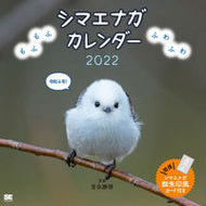 #吉永勝啓写真 #’２２シマエナガカレンダー