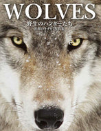 #Ｔ．ジャクソン #ＷＯＬＶＥＳ野生のハンターたち