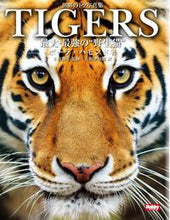 画像をギャラリービューアに読み込む, ＃Ｐ．ハモンド　著 ＃ＴＩＧＥＲＳ　最大・最強の“野生猫” ﾎﾟ-ﾗﾊﾓﾝﾄﾞ :9784798627304

