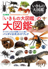 画像をギャラリービューアに読み込む, ＃『いきもの大図鑑』の大図鑑 :9784798630687

