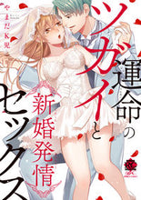 Load image into Gallery viewer, ＃やまだ　Ｋ児　著 ＃運命のツガイと新婚発情セックス ﾔﾏﾀﾞｹｲｼﾞ :9784801972049
