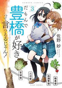 ＃だもんで豊橋が好きって言っとるじゃん　３ :9784801973817
