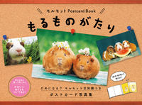 画像をギャラリービューアに読み込む, ＃もるものがたり :9784823602092

