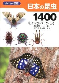 #槐真史 #日本の昆虫１４００１チョウ・バッ