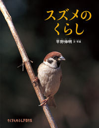 #NobuakiHiranoTextAndPhotos #SparrowLife