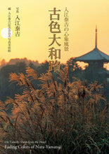 Load image into Gallery viewer, #TaichiIriePhotography #TaichiIrie'sPsychologicalLandscapeAncientYamatoRoad
