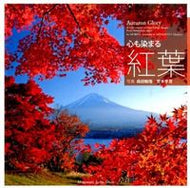 #森田敏隆写真 #心も染まる紅葉