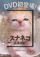 ＃ＤＶＤ　砂漠の天使　スナネコ成長日記 : DVD Desert Angel Sand Cat Growth Diary : 9784838790715