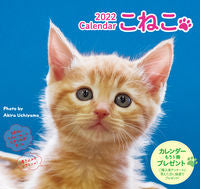 画像をギャラリービューアに読み込む, ＃カレンダー　’２２　こねこ :9784845008698
